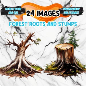 Può includere: Illustrazione digitale di un albero con radici esposte e un ceppo. Il testo recita "24 Images" e "Forest Roots and Stumps". Lo sfondo è una texture di marmo bianco con venature nere. Immagini in formato PNG.