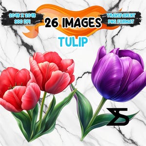 Aquarel tulp PNG-afbeelding op transparante achtergrond, digitale sticker/scrapbooking, commercieel gebruik, instant digitale download