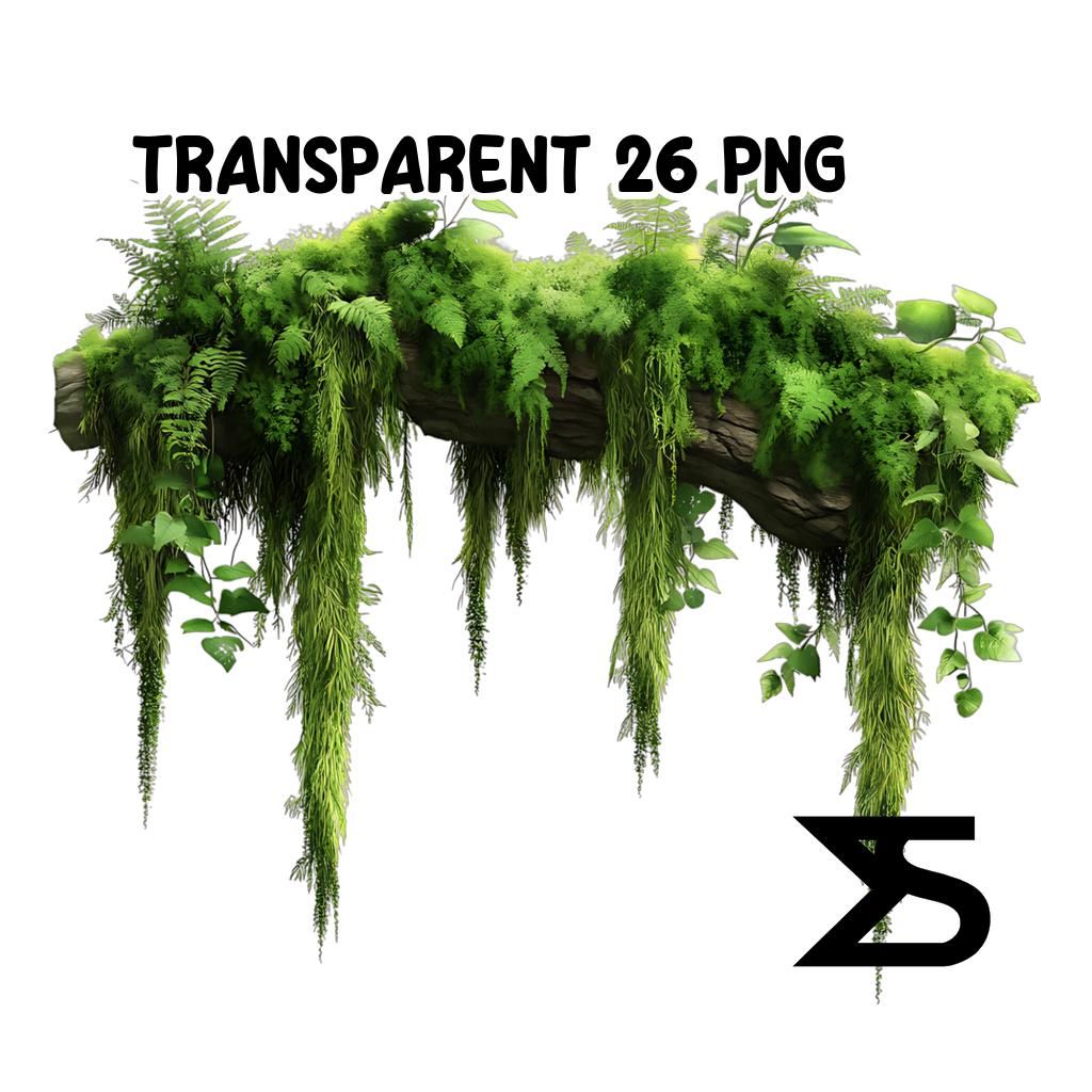 Hanging Moss Png Moss Png Images Free Download On Freepik