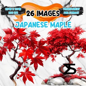 Könnte beinhalten: Digitale Kunst mit leuchtend roten japanischen Ahornbäumen vor einem weißen Marmorhintergrund. Der Text lautet "26 IMAGES" und "JAPANESE MAPLE". Das Bild ist im transparenten PNG-Format.