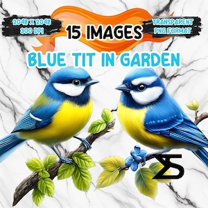 Mésange bleue aquarelle dans le jardin Image PNG sur fond transparent, sticker numérique/Scrappbooking, usage commercial, téléchargement numérique instantané