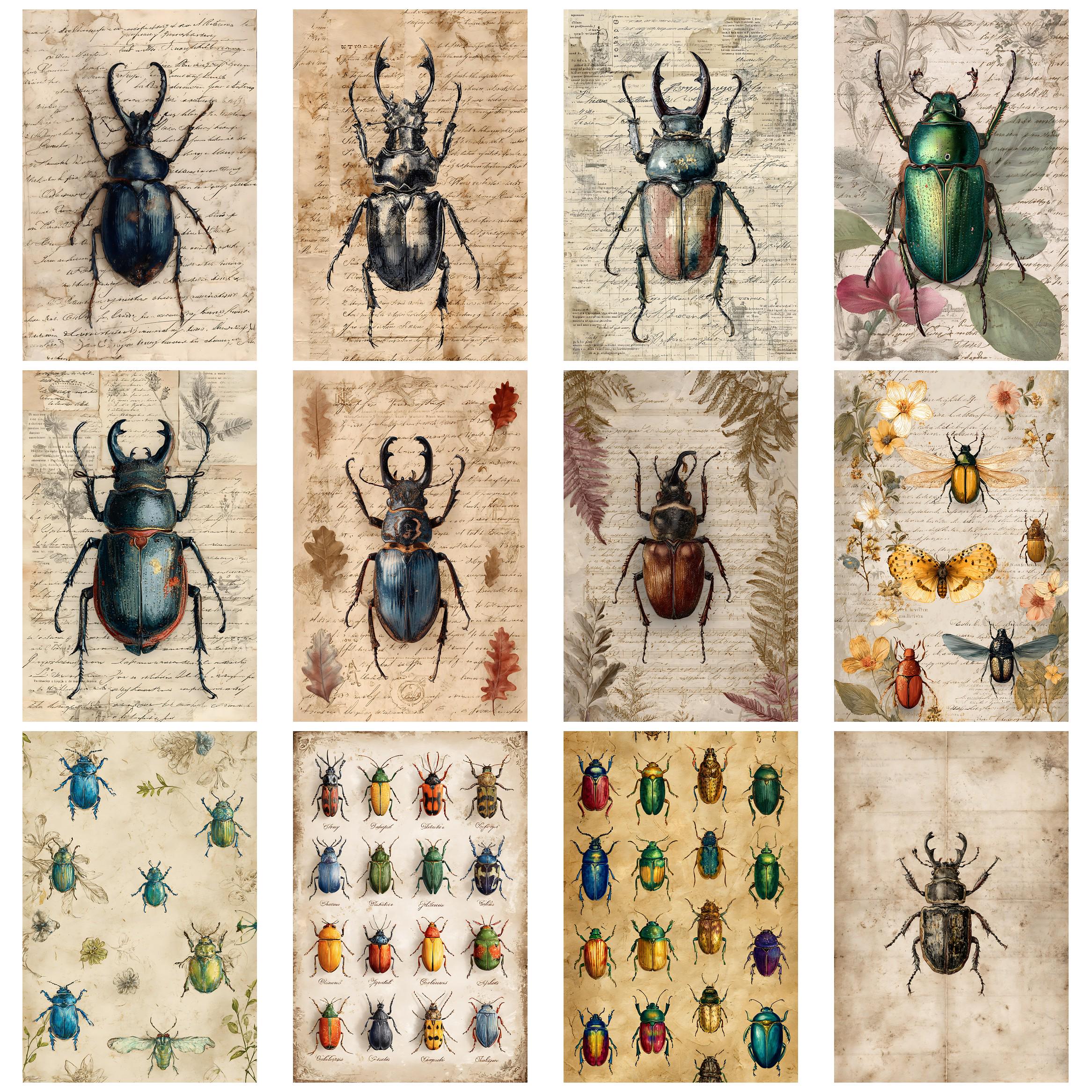 Vintage Beetles and Bugs Vintage Insect Ephemera Pack for Junk Journals ...