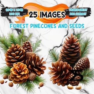 Forest Pinecones And Seeds digital clipart bundle watercolor pinecones acorns botanical seeds elements for invitations cards scrapbooking