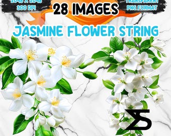 Puede incluir: Gráfico digital de cuerdas de flores de jazmín con flores blancas y hojas verdes. La imagen incluye el texto "28 IMAGES" y "JASMINE FLOWER STRING". El fondo es una textura de mármol.
