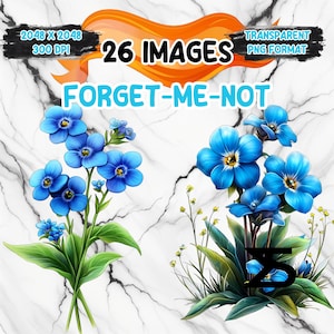 Image PNG de myosotis aquarelle sur fond transparent, autocollant numérique/Scrappbooking, usage commercial, téléchargement numérique instantané