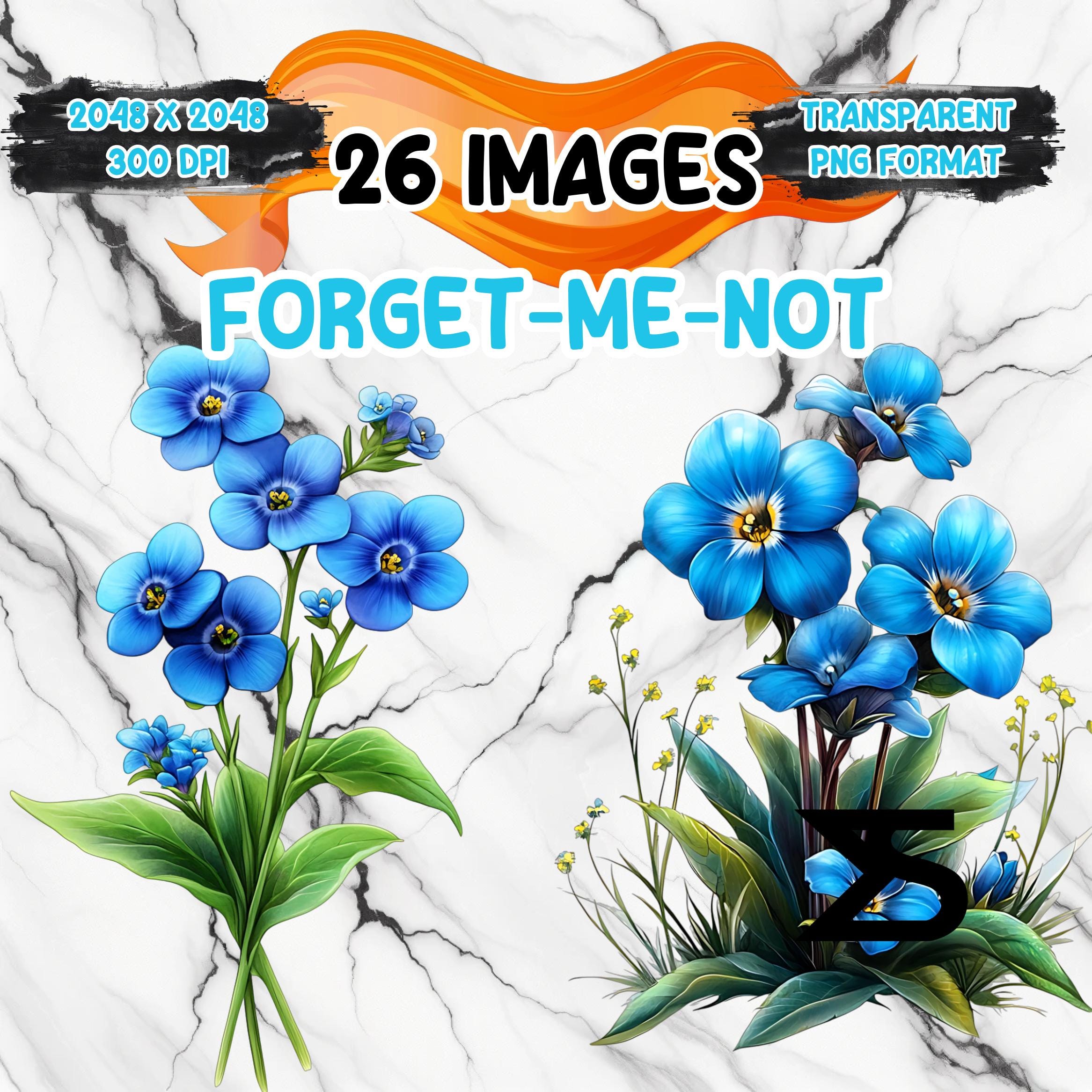 Watercolor Forget-Me-Not PNG Clipart on Transparent Background | Digital Sticker for Scrapbooking, Sublimation & Commercial Use | Instant Download