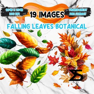 May include: Digital art featuring 19 images of falling leaves in a botanical theme. The leaves are in various colors, including green, yellow, orange, and red. The text "FALLING LEAVES BOTANICAL" is displayed in blue. The image is in PNG format.