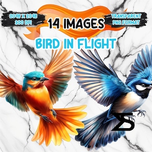 Watercolor Bird In Flight PNG Image on transparent background, digital Sticker/Scrappbooking, commercial use, instant digital download