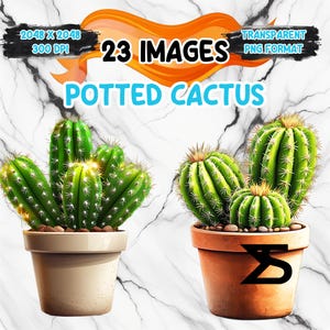 Aquarel potcactus PNG-afbeelding op transparante achtergrond, digitale sticker/scrapbooking, commercieel gebruik, instant digitale download