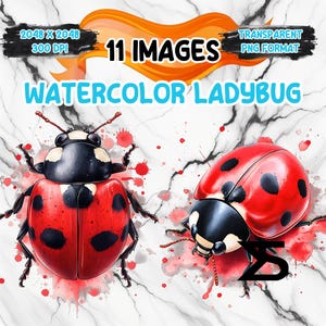 Immagine PNG di una coccinella ad acquerello su sfondo trasparente, adesivo digitale/scrapbooking, uso commerciale, download digitale istantaneo