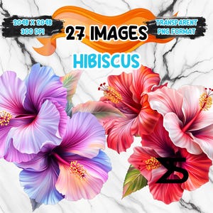May include: Digital art featuring vibrant hibiscus flowers in shades of red, pink, and purple. The image includes text that reads "27 IMAGES" and "HIBISCUS". The background is a marble texture, and the image is in PNG format.