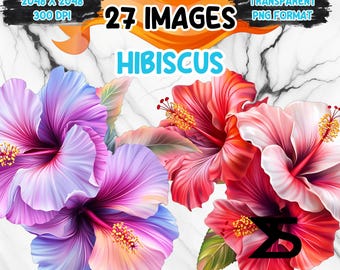 Watercolor Hibiscus PNG Image on transparent background, digital Sticker/Scrappbooking , commercial use, instant digital download