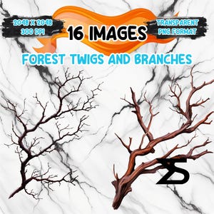 May include: Digital art featuring 16 images of forest twigs and branches in a transparent PNG format. The images are in a 2048 x 2048 resolution at 300 DPI. The text "FOREST TWIGS AND BRANCHES" is displayed in blue.