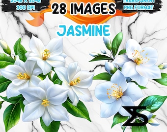 Puede incluir: 28 imágenes de flores de jazmín blancas con hojas verdes sobre un fondo de mármol blanco. El texto "28 IMAGES" y "JASMIN" se muestra en la parte superior central de la imagen.