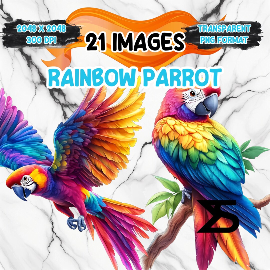 Watercolor Rainbow Parrot PNG Image on Transparent Background, Digital ...