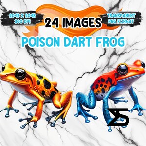 Dart Frog Card - Etsy Israel Dart Frog Card - Etsy Israel