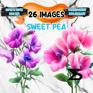 Duftende Platterbse Clipart Bundle, Instant Download, kommerzielle Nutzung, Planer, Sticker