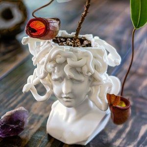 Medusa Sukkulenten Pflanzer, griechische Mythologie, Gaming Dekor, Gothic, Kuriositäten, Halloween Pflanzer