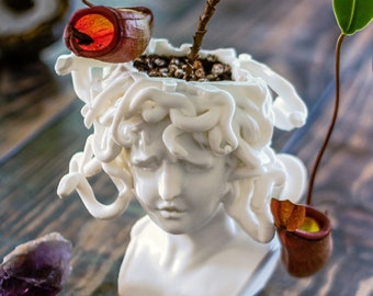 Medusa Succulent Planter, Greek Mythology, Gaming Decor, Gothic, Oddities, Halloween Planter