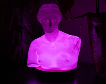 May include: A white plaster bust of a woman with a pink glow emanating from the base. The bust is lit from within, creating a soft, ethereal effect.