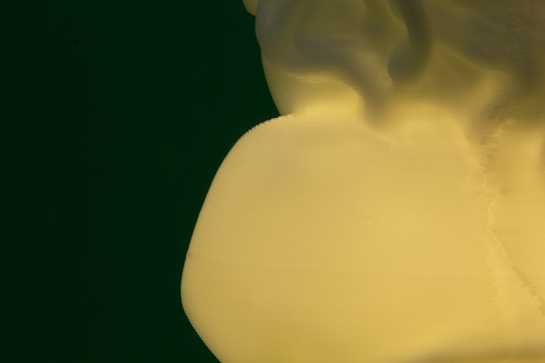 Sappho Bust Lamp Statue of the Poet Sappho Greek Sculpture image 8