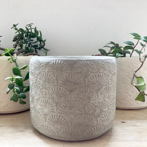 May include: Three concrete planters with a geometric pattern. Two are white and one is grey. The planters are filled with green plants.