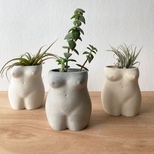May include: Three concrete planters shaped like the human torso, each with a different plant growing inside. The planters are in shades of grey and beige, and are arranged on a wooden surface.