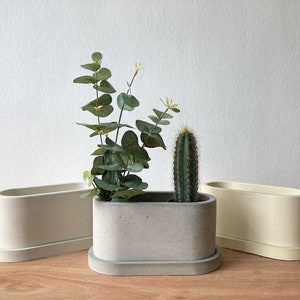 May include: Three oval-shaped concrete planters with a rough texture. The planter in the centre has a green succulent and a small cactus plant. The planters are on a wooden surface.