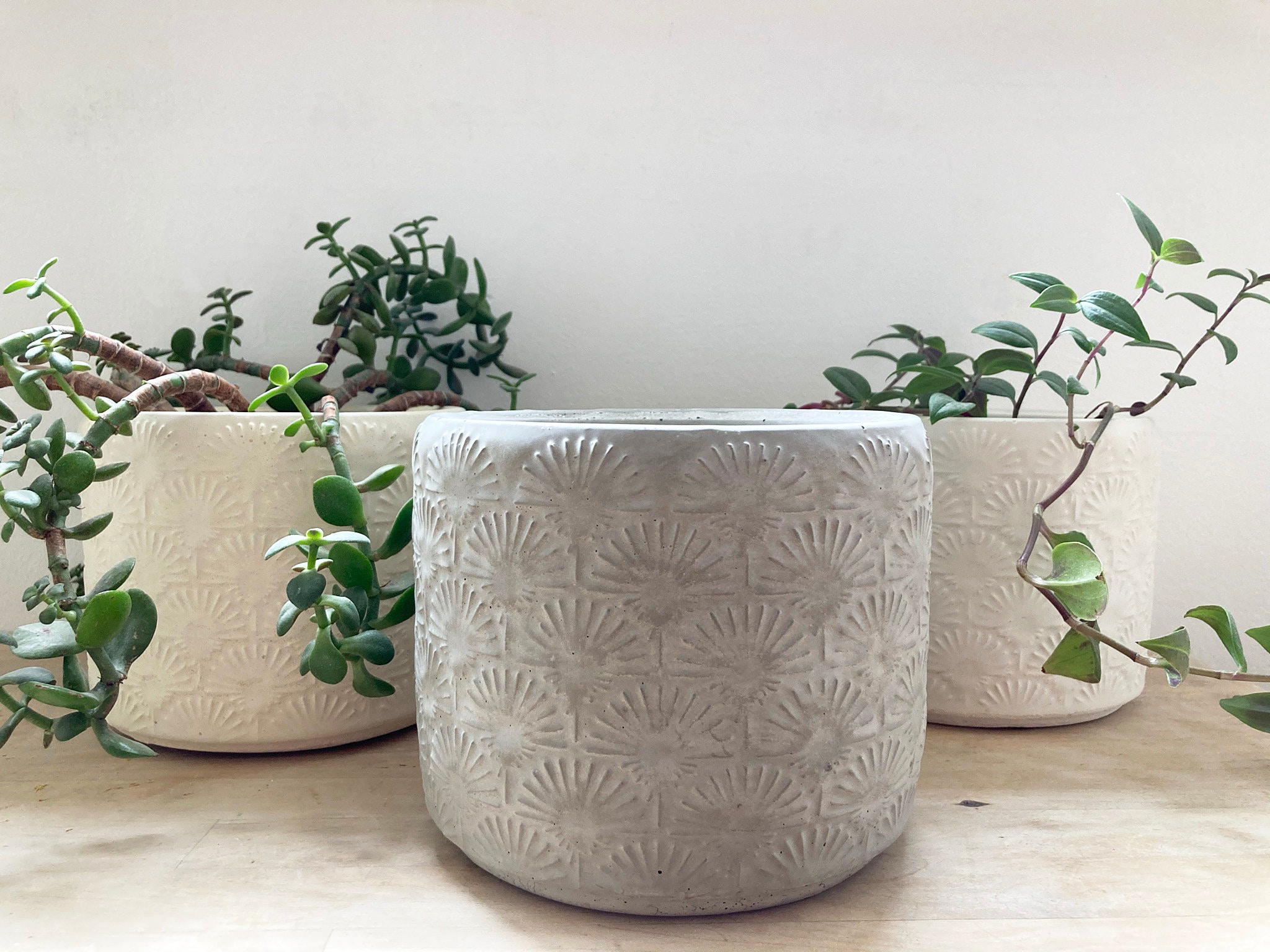 Large Textured Concrete Plant Pot Handmade Grey White or Etsy UK