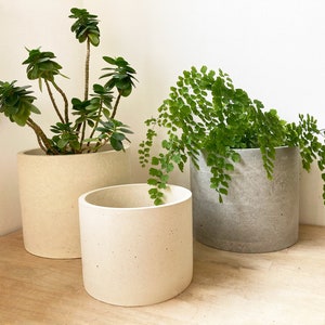 May include: Three concrete planters in different sizes, two are white and one is grey. The planters are filled with green plants. The planters are sitting on a wooden surface.
