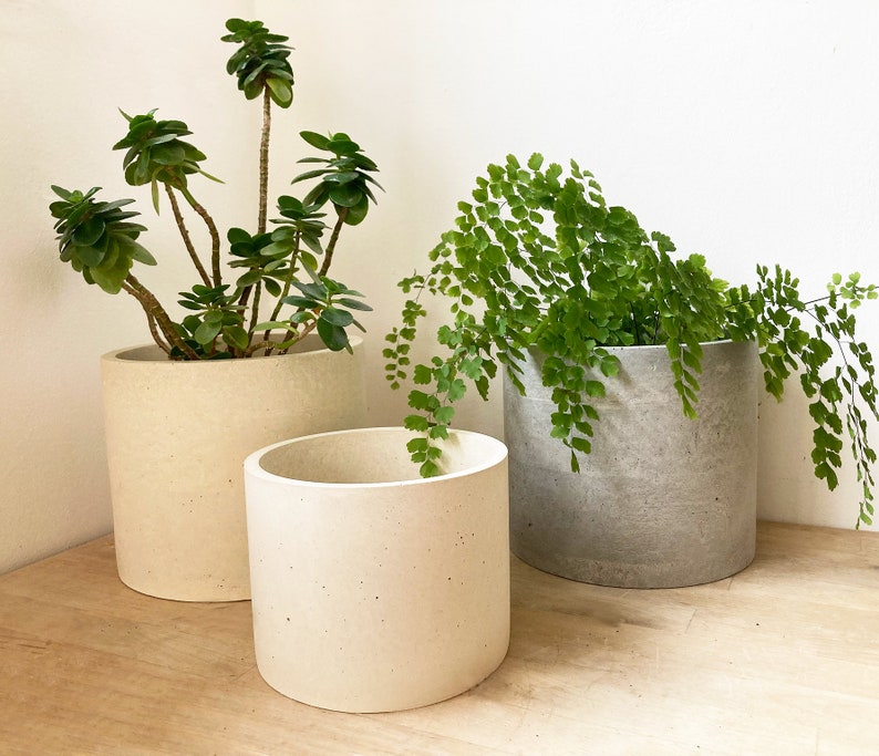 Pode incluir: Tr&ecirc;s vasos de cimento de tamanhos diferentes, dois s&atilde;o brancos e um &eacute; cinza. Os vasos est&atilde;o cheios de plantas verdes. Os vasos est&atilde;o sobre uma superf&iacute;cie de madeira.