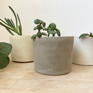 May include: Three concrete planters in different colours, white, grey, and beige, with green plants growing inside. The planters are sitting on a wooden surface.