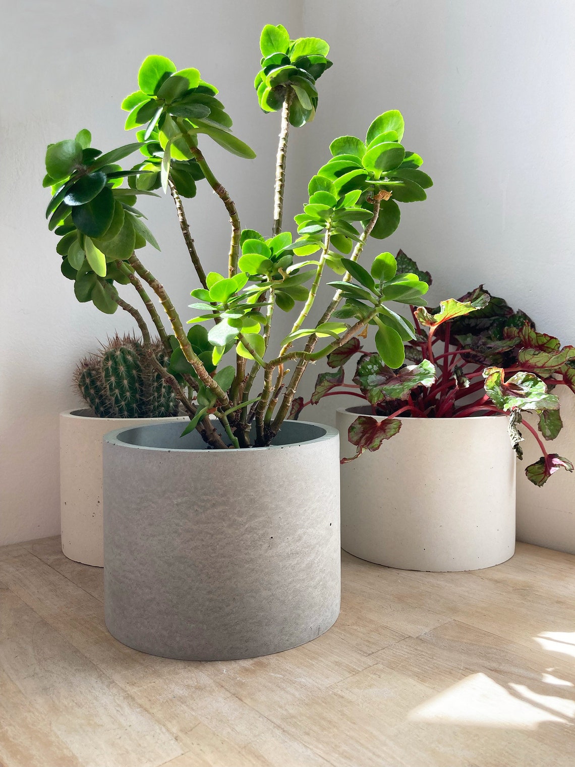 Large Round Concrete Planter Large Grey White or Cream Etsy