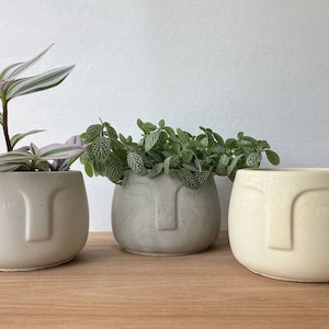 May include: Three white ceramic planters with a face design. The planters are filled with green plants. The planter on the left has closed eyes, the middle planter has a straight nose, and the planter on the right has a curved nose.
