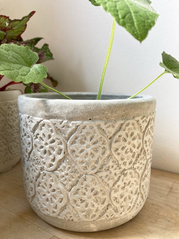 Handmade Textured Concrete Planter: Neutral Cement Flower Pot - Etsy