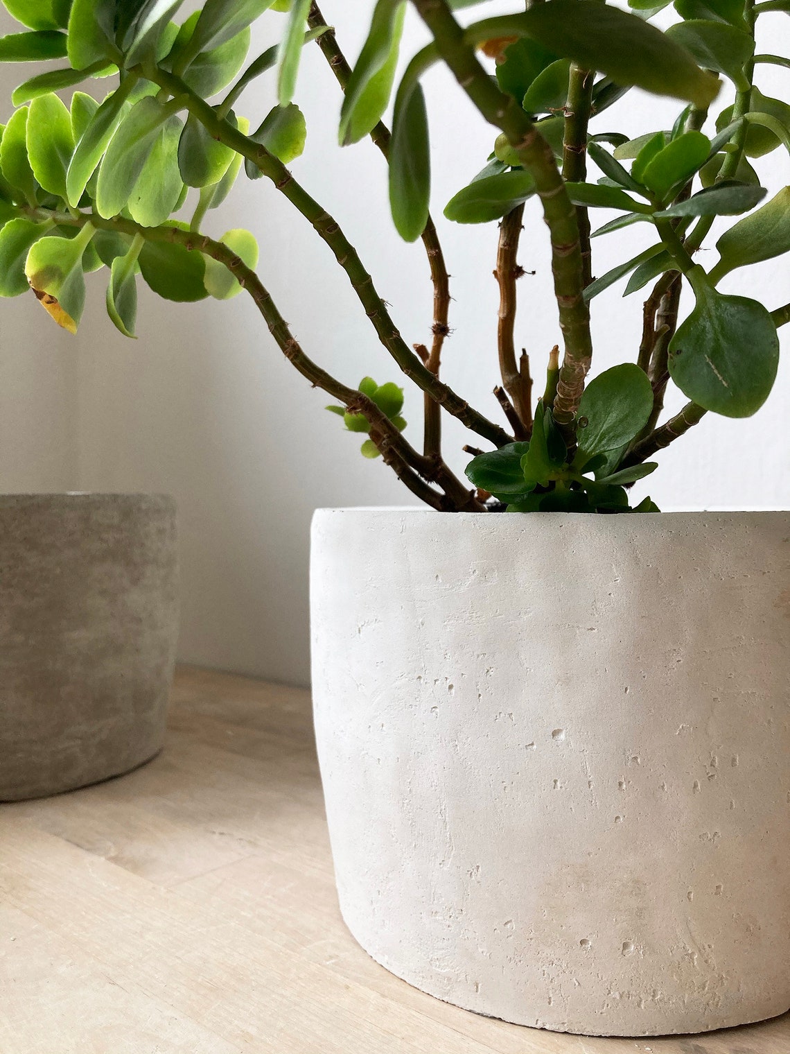 Large Round Concrete Planter Large Grey White or Cream Etsy