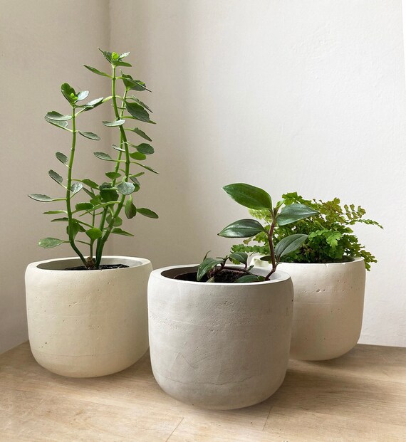 Round Concrete Plant Pot Bowl Shaped Plant Pot Round Etsy UK