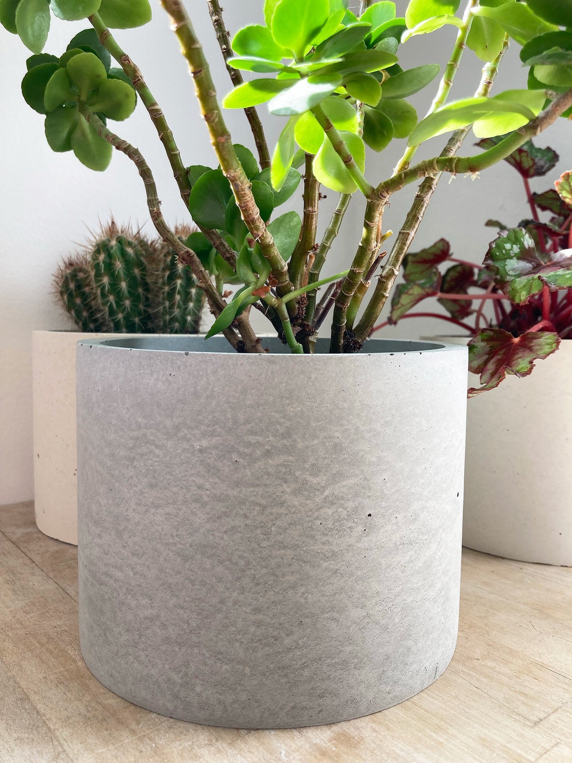 Large Round Concrete Planter Large Grey White or Cream Etsy