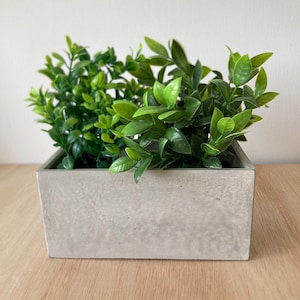 May include: A rectangular concrete planter filled with vibrant green artificial foliage. The planter has a simple, modern design and sits on a light-coloured wooden surface. The leaves are a bright, healthy green.