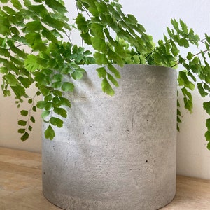 Pode incluir: Um vaso de cimento cinzento com uma planta de samambaia verde crescendo dentro. O vaso &eacute; cil&iacute;ndrico e tem uma superf&iacute;cie &aacute;spera e texturizada.