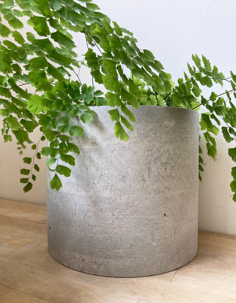 Pode incluir: Um vaso de cimento cinzento com uma planta de samambaia verde crescendo dentro. O vaso &eacute; cil&iacute;ndrico e tem uma superf&iacute;cie &aacute;spera e texturizada.