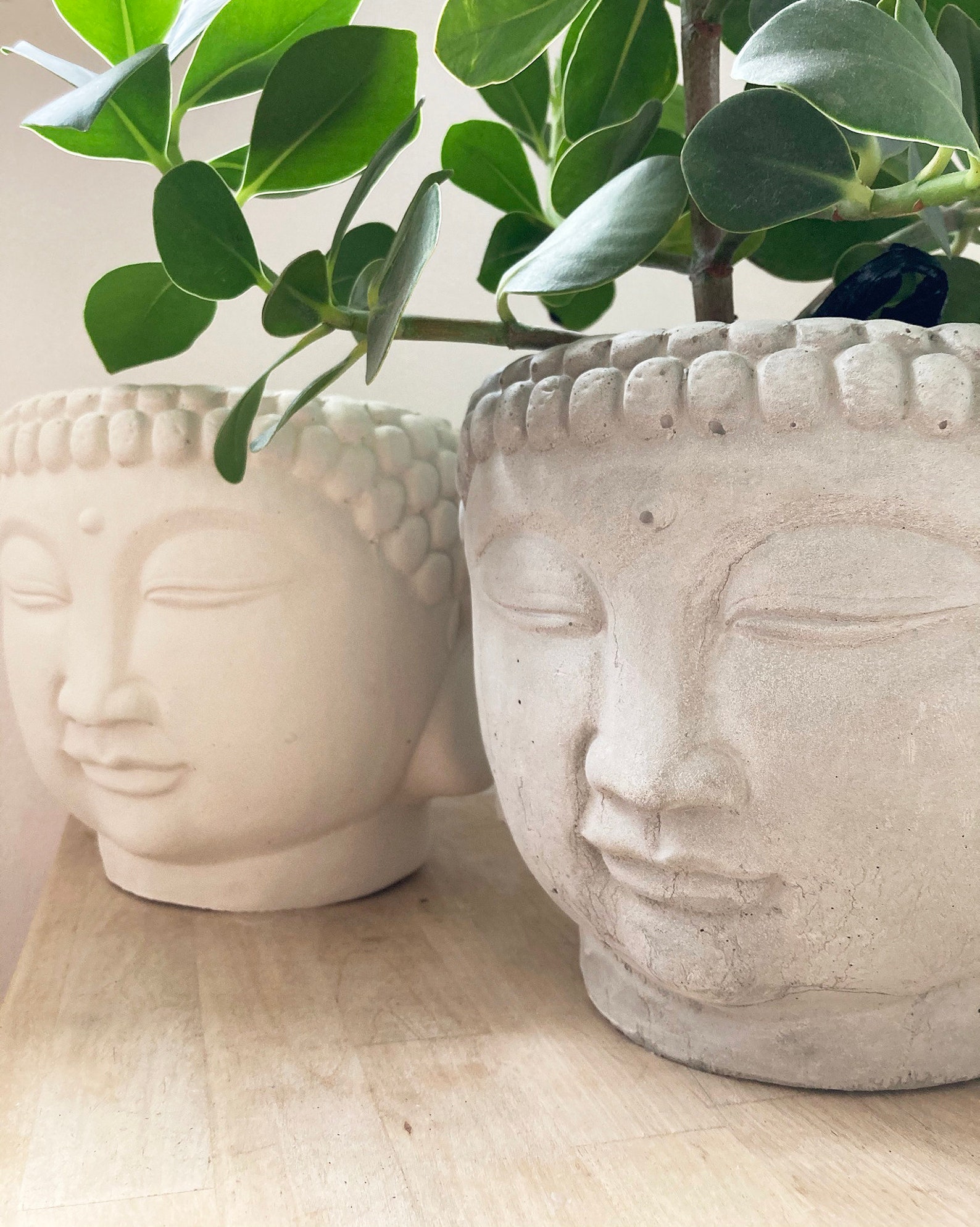 extra large buddha head planter
