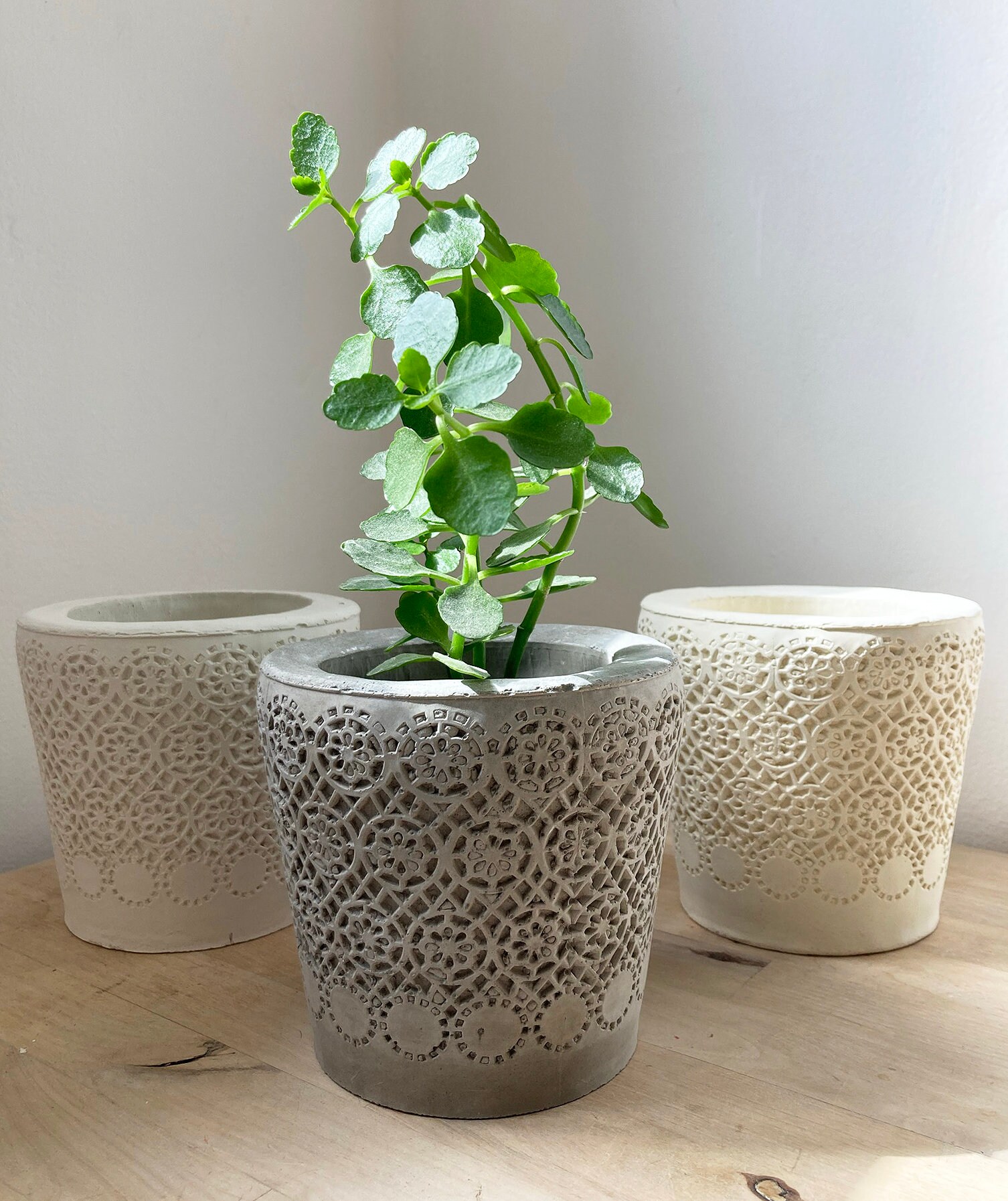 Ornate Concrete Plant Pot Floral Carving Boho Plant Pot Etsy