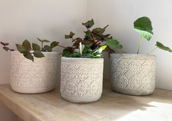 concrete plant pots Gray 4 in tall Concrete Flower Plant Pot Geometric Mini Planter