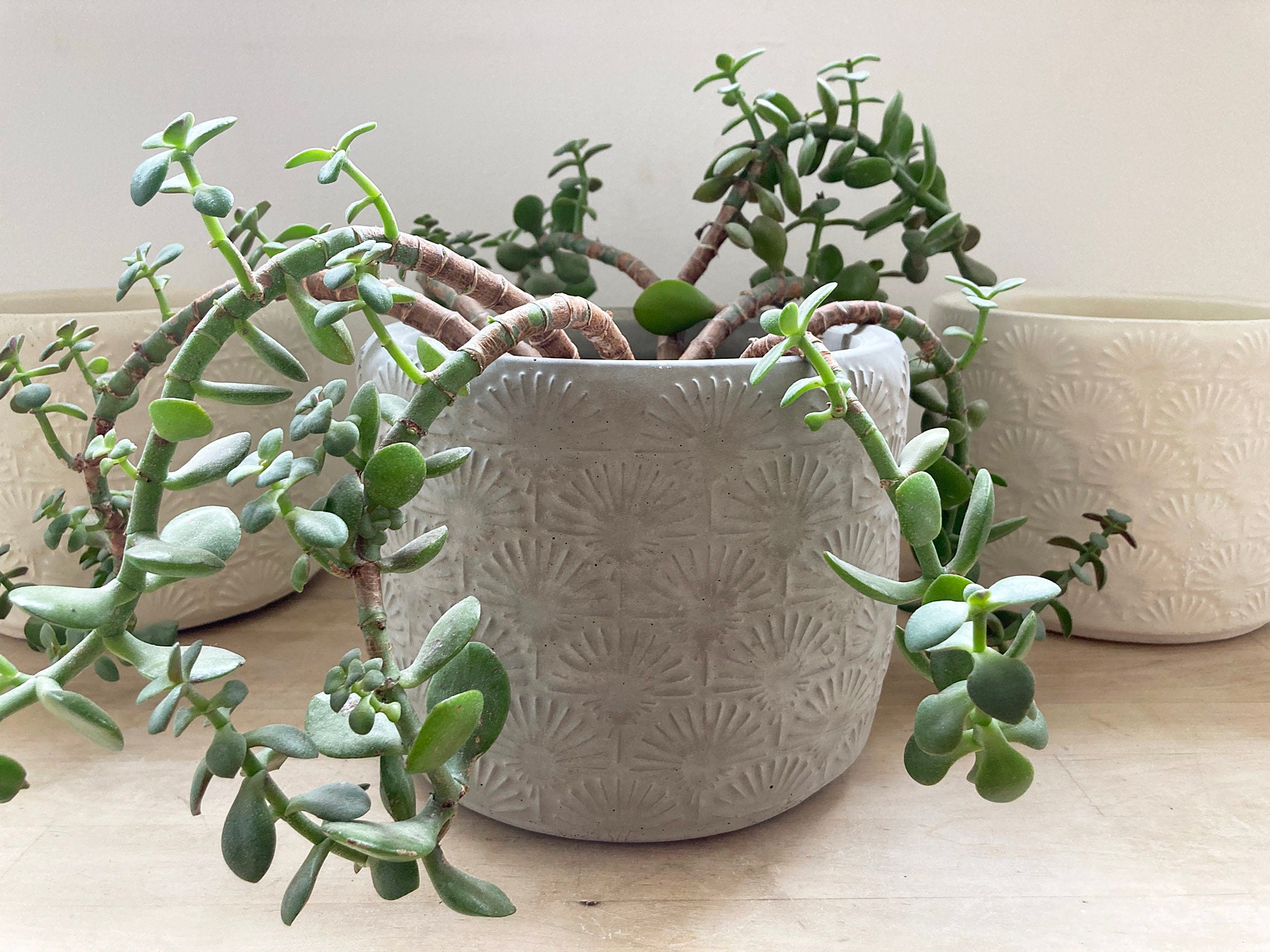 Large Textured Concrete Plant Pot Handmade Grey White or Etsy