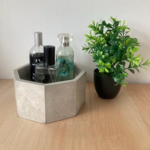 May include: A grey concrete hexagonal tray holds several perfume bottles. A small potted plant with green leaves sits to the right. The bottles are clear with silver and black caps. The tray is on a wooden surface.