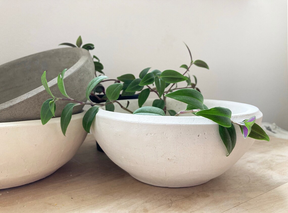 Large Concrete Bowl Planter Concrete Bowl Cream White or Etsy