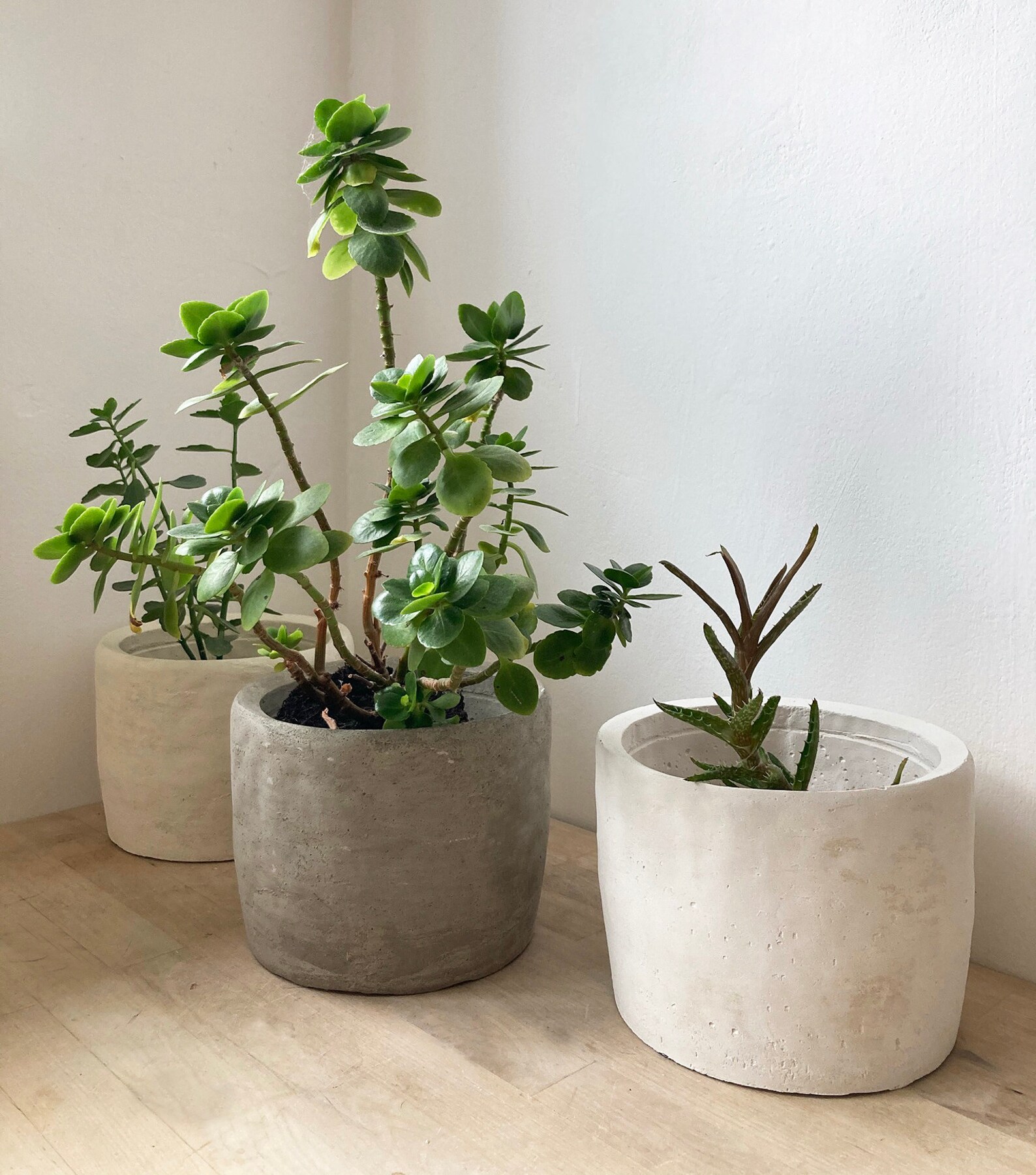 Large Round Concrete Planter Large Grey White or Cream Etsy