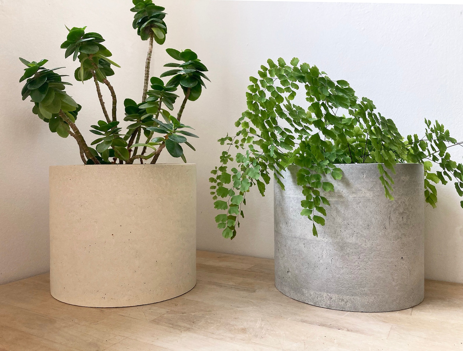 Large Round Concrete Planter, Large Grey, White or Cream Concrete Plant