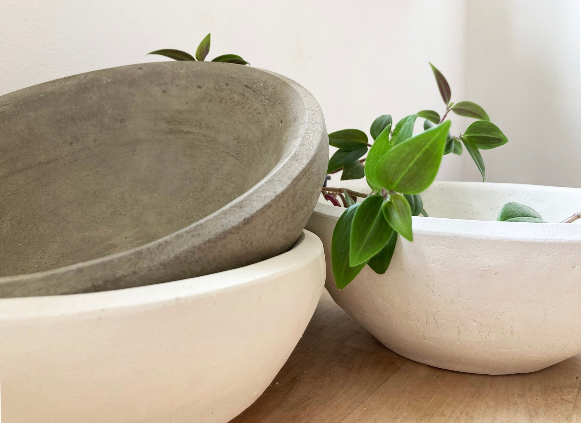 Large Concrete Bowl Planter Concrete Bowl Cream White or Etsy